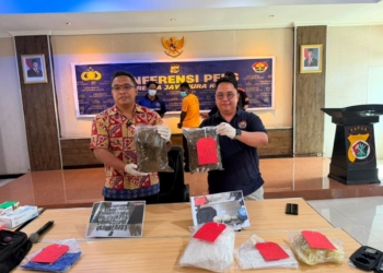 Bawa 1,6 Kilogram Ganja, Seorang Warga PNG Ditangkap di Jayapura