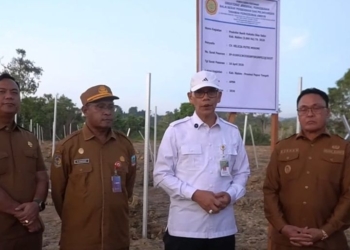 Kementerian Pertanian Genjot Pengembangan 3.000 Hektare Kakao di Nabire