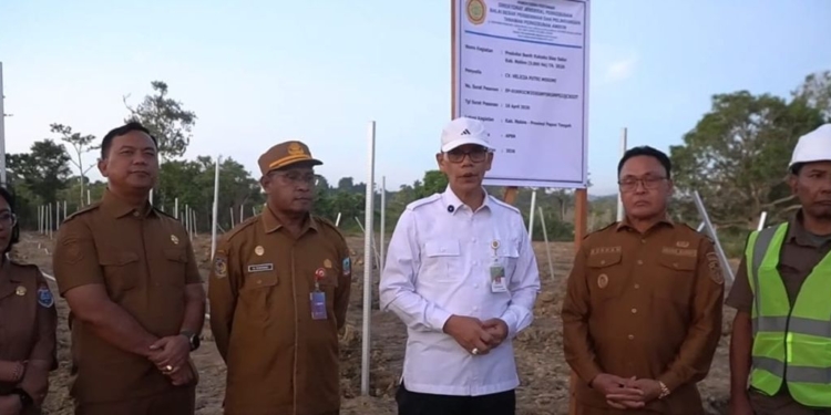 Kementerian Pertanian Genjot Pengembangan 3.000 Hektare Kakao di Nabire