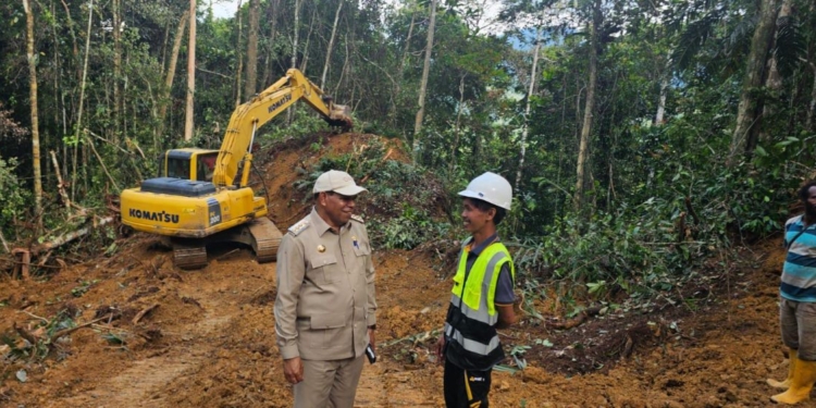 Bupati Yalimo Tinjau Pembukaan Jalan Hubliki-Abenaho, Akses ke Jalan Trans Papua Dipercepat