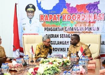 Badan Pangan Nasional Dampingi Papua Tengah Susun Cadangan Pangan Berbasis Data