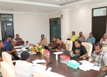 Dewan Soroti Tambang Ilegal dan 203 Kampung Belum Berlistrik di Papua