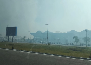 Nabire Berselimut Asap, BPBD Papua Tengah Akui Tak Mampu Jangkau Semua Titik Kebakaran