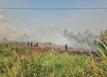 Dinkes Papua Tengah Siapkan Pembagian Masker, Warga Diminta Waspada ISPA di Tengah Musim Kemarau