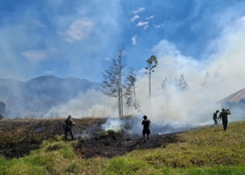 Kebakaran Lahan Nyaris Bakar SMAN 1 Ilaga, Kodim Puncak Gerak Cepat Berhasil Padamkan Api