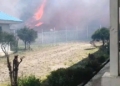 Karhutla Meluas Di Puncak, 52 Hektare Lahan Hangus Terbakar di Tujuh Distrik