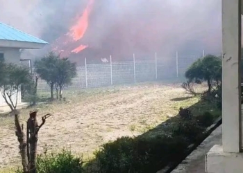 Karhutla Meluas Di Puncak, 52 Hektare Lahan Hangus Terbakar di Tujuh Distrik
