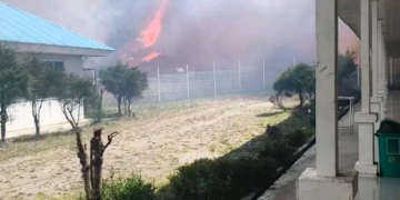 Karhutla Meluas Di Puncak, 52 Hektare Lahan Hangus Terbakar di Tujuh Distrik