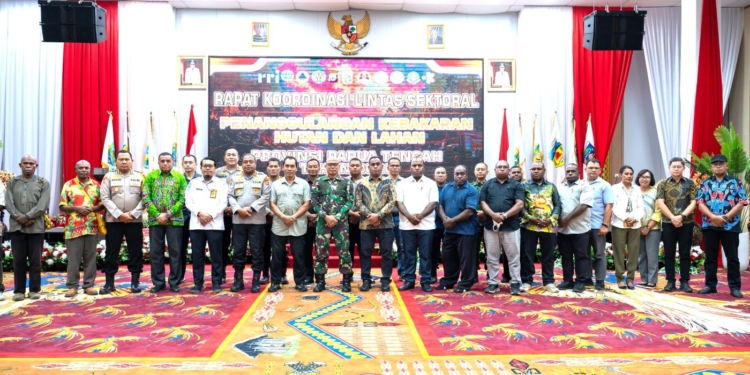 Papua Tengah Siaga El Nino, Meki Nawipa Bentuk Tim Terpadu hingga Opsi Sewa Helikopter