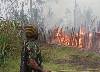 Kemarau Panjang Picu Kebakaran Lahan di Intan Jaya, Sejumlah Rumah Hangus Terbakar