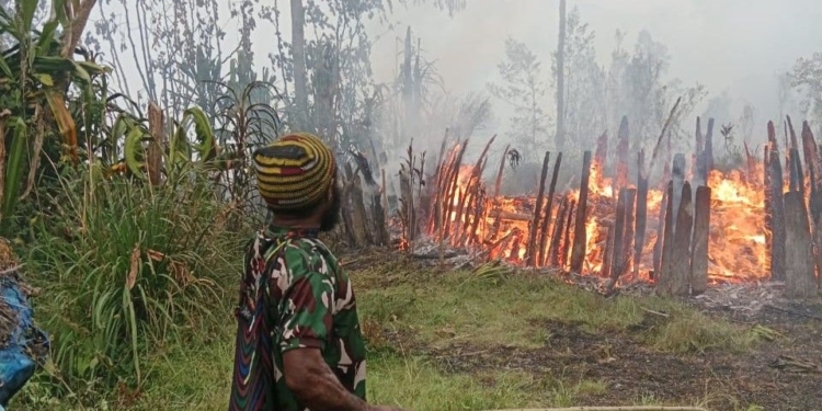 Kemarau Panjang Picu Kebakaran Lahan di Intan Jaya, Sejumlah Rumah Hangus Terbakar