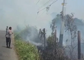 BPBD Papua Tengah kembali kerahkan armada padamkan 224 titik api
