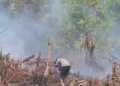 94 Personel BPBD Papua Tengah Bergerak, Armada Pemadam Kabupaten Nabire Dipertanyakan