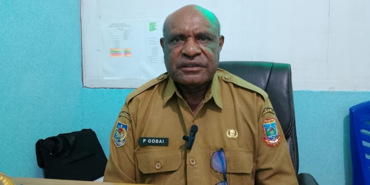 Dinas Tanaman Pangan Papua Tengah Siapkan Pengembangan Ubi Jalar Dan Singkong