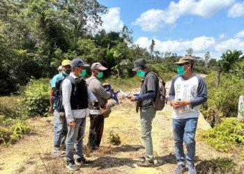 Kejati Papua Naikkan Kasus Dugaan Proyek Jalan Boven Digoel ke Penyidikan