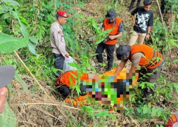 Geger, Mayat Tanpa Identitas Ditemukan di Kolam Buaya Entrop