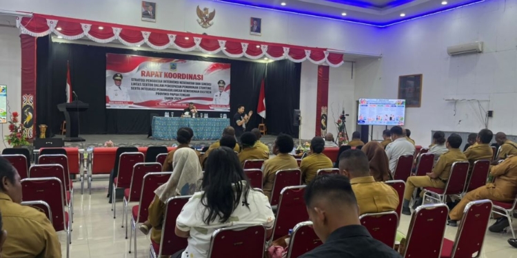 Pemprov Papua Tengah Gelar Rakor Percepat Penanganan Stunting