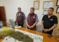 Polda Papua Temukan 10 kg Ganja, Empat Orang Ditangkap