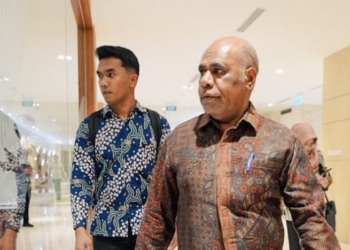 Keterangan: Wakil Gubernur Papua Tengah (Batik Coklat), Deinas Geley. /Foto: Istimewah