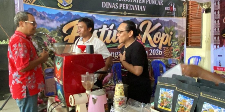 Kemarau dan Kebakaran Rusak Kebun Kopi Puncak, Pemasaran Masih Jadi Kendala